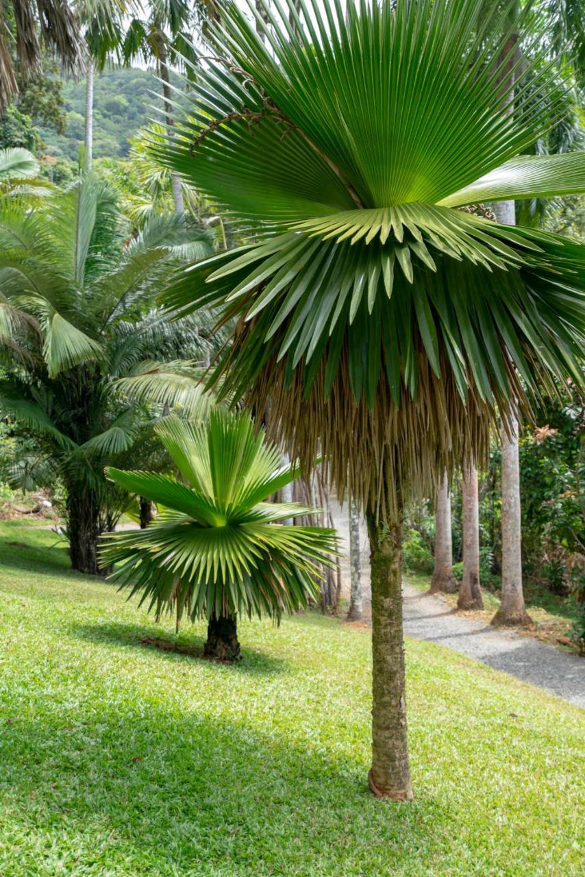 Villa Mist At Cape Tribulation Exterior foto